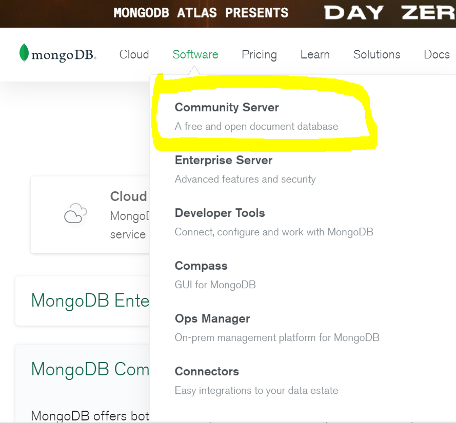 download mongodb which file