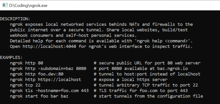 How To Use Ngrok In Windows - Port Forwarding Localhost - SmartCodeHelper